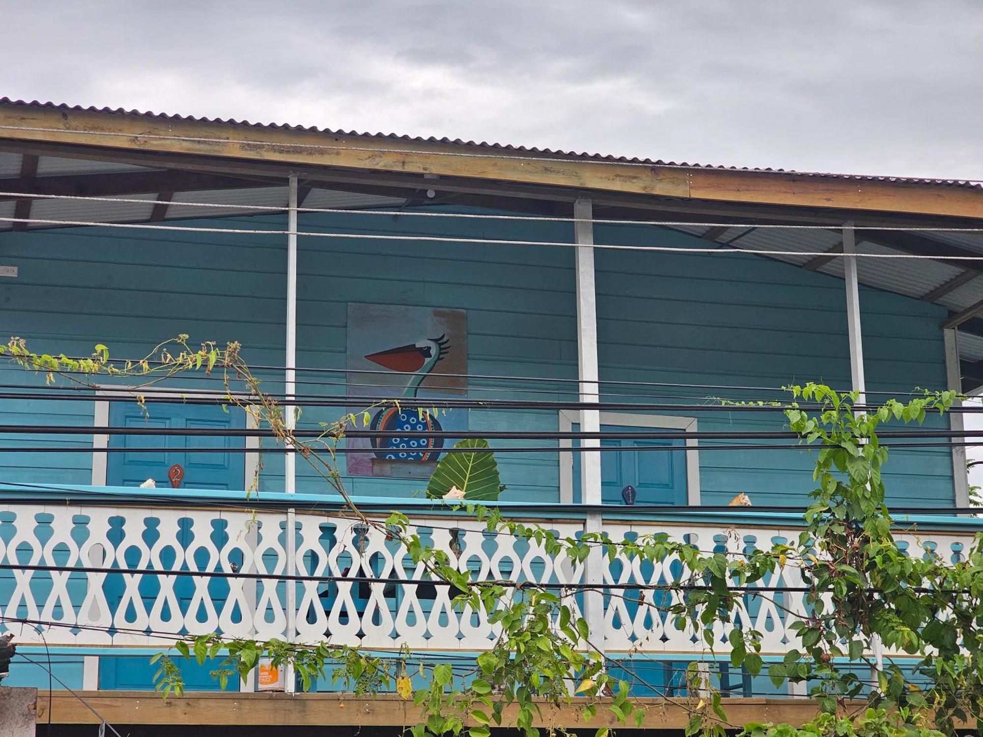 Casa Pelicano Bocas del Toro Exterior foto
