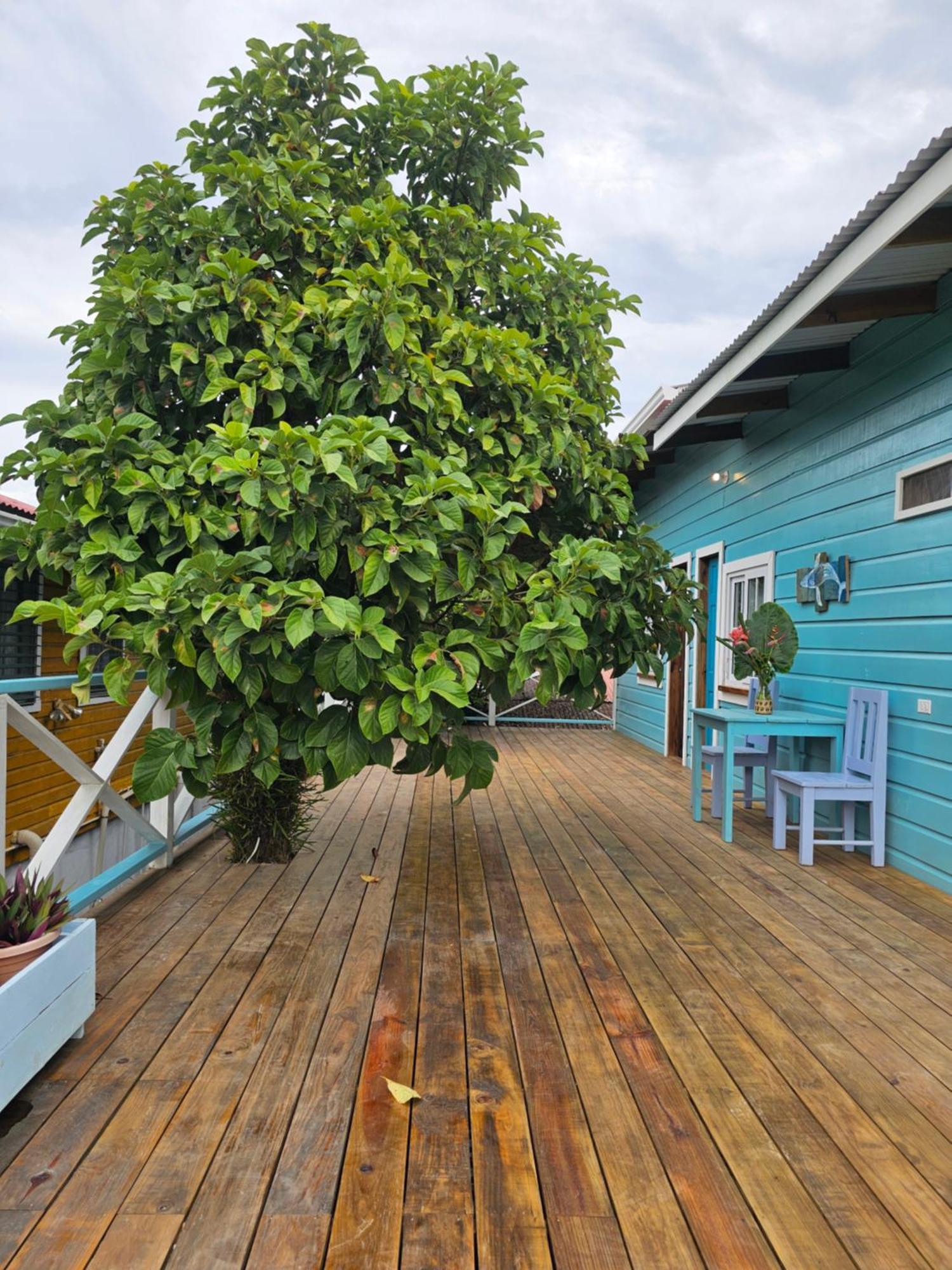 Casa Pelicano Bocas del Toro Exterior foto